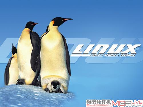 企鹅代表南极，林纳斯·托瓦兹选择企鹅作为Linux的Logo意味着，Linux与南极一样，均为全人类共同所有，任何公司无权将其私有。